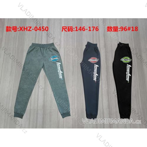 Men's tracksuit bottoms (146-176) ACTIVE SPORT ACT21XHZ-0377
