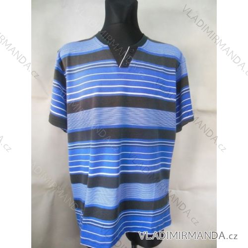 T-shirt short sleeve men's oversized (2xl-5xl) DYNAMIC 142/135/2125
