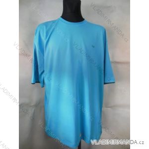 T-shirt short sleeve men's cotton oversized (3xl-6xl) DYNAMIC 134/2408/3002