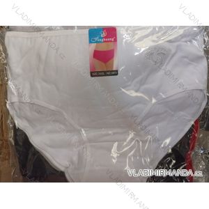 Kalhotky dámské (L-3XL) SPODNÍ PRÁDLO SPA21001