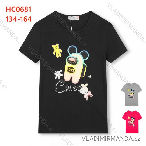 Girls' Short Sleeve T-Shirt (134-164) KUGO SC0368
