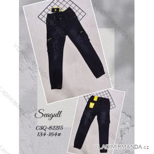 Jeans jeans boys (134-164) SEAGULL SEA22CSG-82215