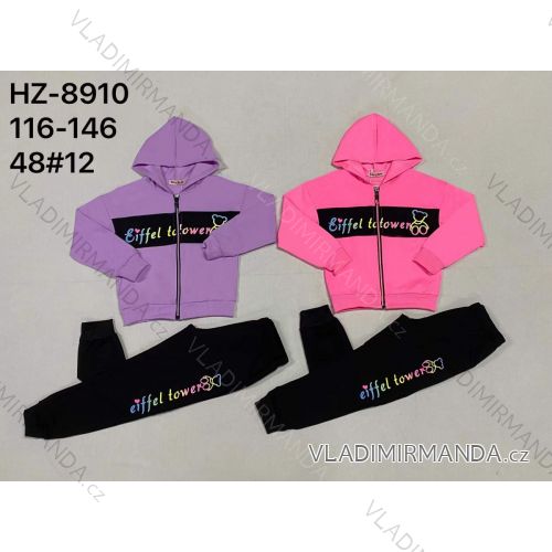 Set of hooded sweatshirt with zipper and sweatpants children's teen girls (116-146) ACTIVE SPORT ACT218P-7473