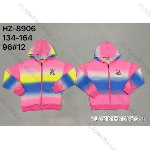 Children's hoodie for girls (116-146) ACTIVE SPORT ACT218P-7493