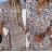 Women's Long Sleeve Dress (S / M ONE SIZE) ITALIAN FASHION IMWG216877