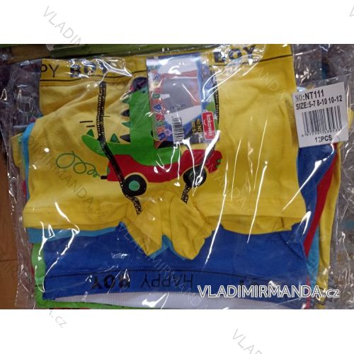 Boxing boys' monster car monster (6-12 years old) WD BWD23007