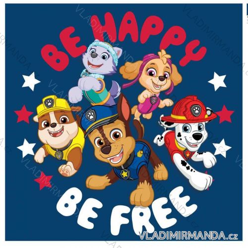 Face Towel Paw Patrol Cotton Cotton Cotton (30 * 50 cm) SETINO 821-329