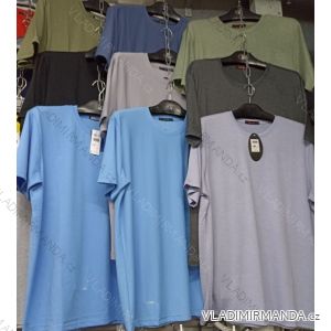 Women's Long Sleeve T-Shirt Oversized (XL-4XL) ALNWICK BES19WP90278
