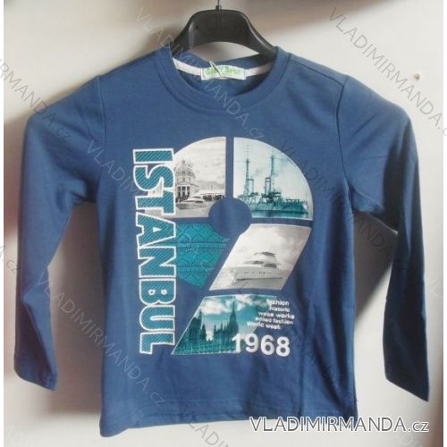 T-Shirt Long Sleeve Boys (98-128) GLASS BEAR J-051
