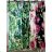 Long summer dress icecool carmen flip-flops women (S / M ONE SIZE) ITALIAN FASHION IMM211270
