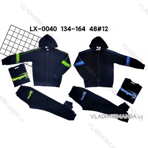 Set of tracksuits, hooded sweatshirt and t-shirt youth boy (134-164) ACTIVE SPORT ACT22LX-0040