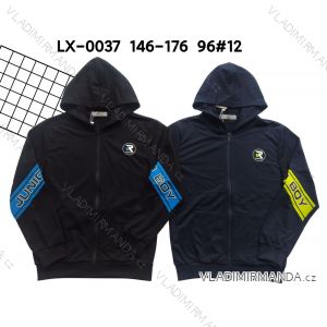 Youth boy's hoodie (146-176) ACTIVE SPORT ACT22LX-0037
