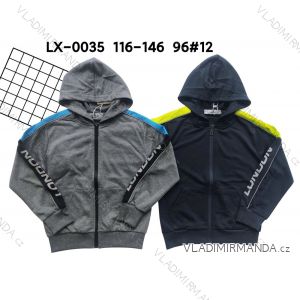 Hooded sweatshirt children's youth boys (116-146) ACTIVE SPORT ACT22LX-0035
