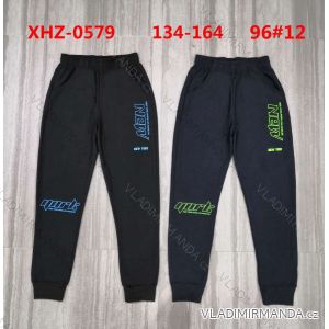 Long sweatpants for boys (134-164) ACTIVE SPORT ACT22XHZ-0579