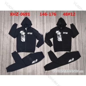Youth boy's set of hooded sweatshirt with zip and sweatpants (146-176) ACTIVE SPORT ACT22XHZ-0691