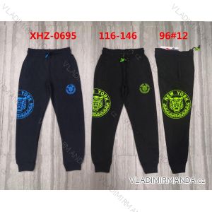 Long sweatpants for children, teenagers, boys (116-146) ACTIVE SPORT ACT22XHZ-0695