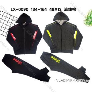 Set of tracksuits and hooded sweatshirt for teenagers (134-164) ACTIVE SPORT ACT22XHZ-0595