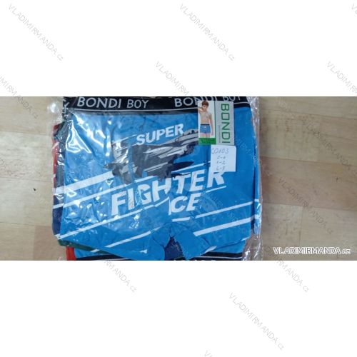 Men's boxers (L-3XL) Bondi BON2221-0146