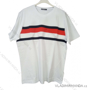 Tričko Long Sleeve T-Shirt Oversized (XL-4XL) ALNWICK BES2216849/D