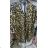 Elegant Long Sleeve Dress Women (S / M.ONE SIZE) ITALIAN FASHION IMM211302