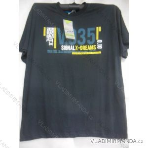 T-shirt short sleeve men's cotton (m-2xl) OBSESS TR6
