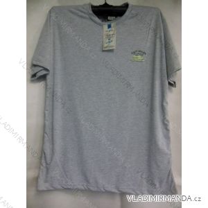 T-shirt short-sleeved oversized mens (3xl-6xl) OBSESS 3662073
