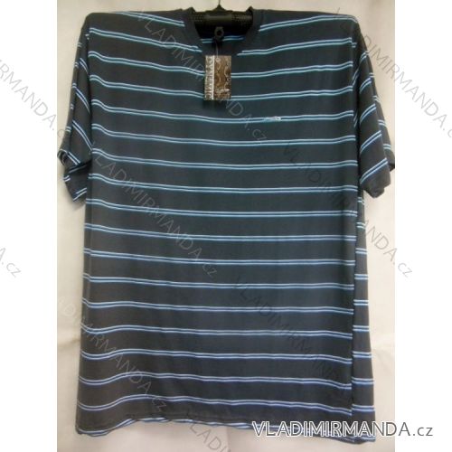 T-shirt short-sleeved oversized mens (3xl-6xl) OBSESS 473004