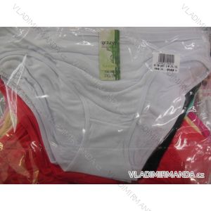 Ladies bamboo briefs (s-3xl) YZLY PES22RM-0007