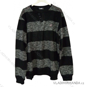 Men's long sleeve sweater (L-3XL) TURKISH MODA TMF22CMR-8278
