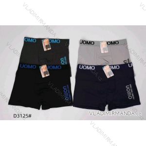 Men's boxer shorts L-3XL WD23D3125