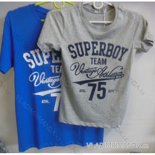 T-shirt short sleeve teen boy (134-164) GLASS BEAR HZ-3575