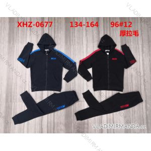 Set of tracksuits, hooded sweatshirt and t-shirt youth boy (134-164) ACTIVE SPORT ACT23XHZ-0677