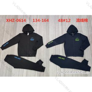 Set of tracksuits and hooded sweatshirt for teenagers (134-164) ACTIVE SPORT ACT23XHZ-0614