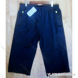 Men's cotton shorts (xl-4xl) EPISTER 57079
